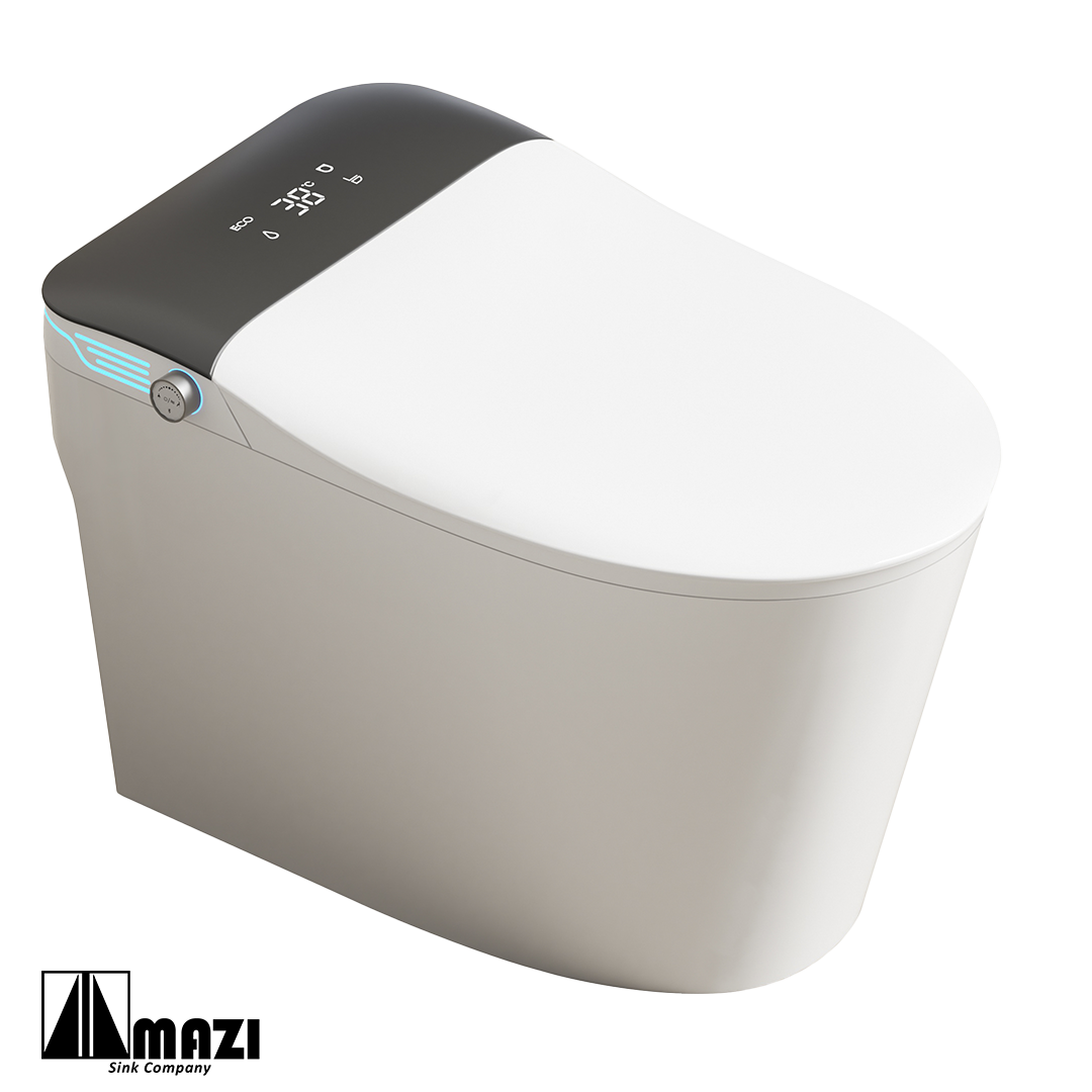 Ceramic Smart Toilet BL-602C