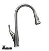 Kitchen Faucet 30003 BN