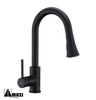 Kitchen Faucet 503262 BB